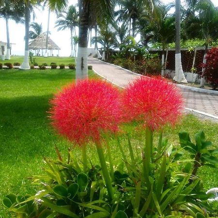 Hotel Mariam Tecolutla Ngoại thất bức ảnh